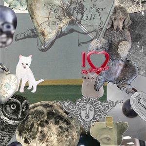 Meet your Posher, Starrr